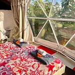 Glamping Lost Οργανωμένο κάμπινγκ