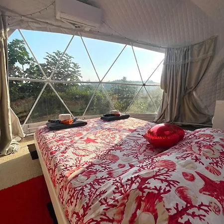 Glamping Lost